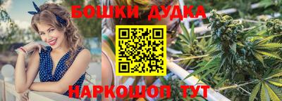 не бодяженный Гай