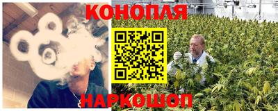 СК Гагарин