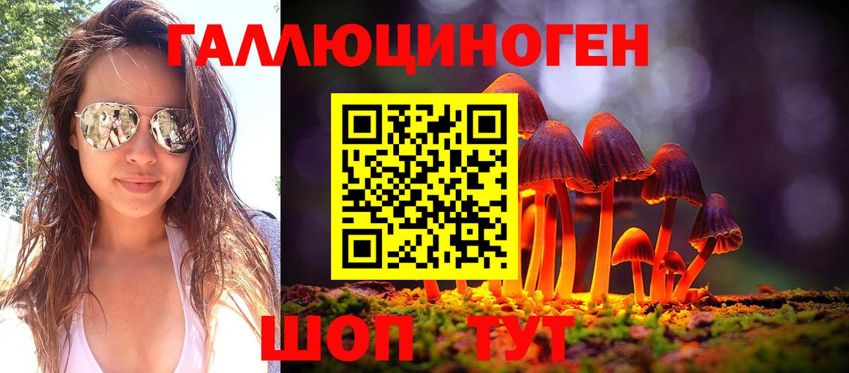 Псилоцибиновые грибы Psilocybine cubensis Нерюнгри